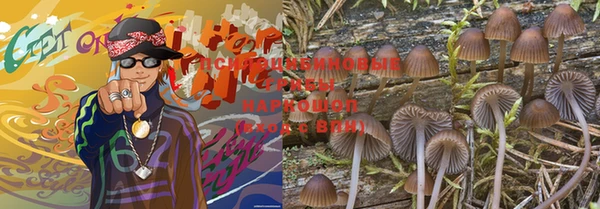 дмт Алексеевка