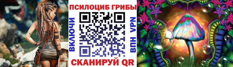 Псилоцибиновые грибы GOLDEN TEACHER  сколько стоит  Жуковка 